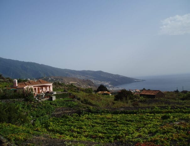 Casa Rural Carlota Breña Baja La Palma Canarias
