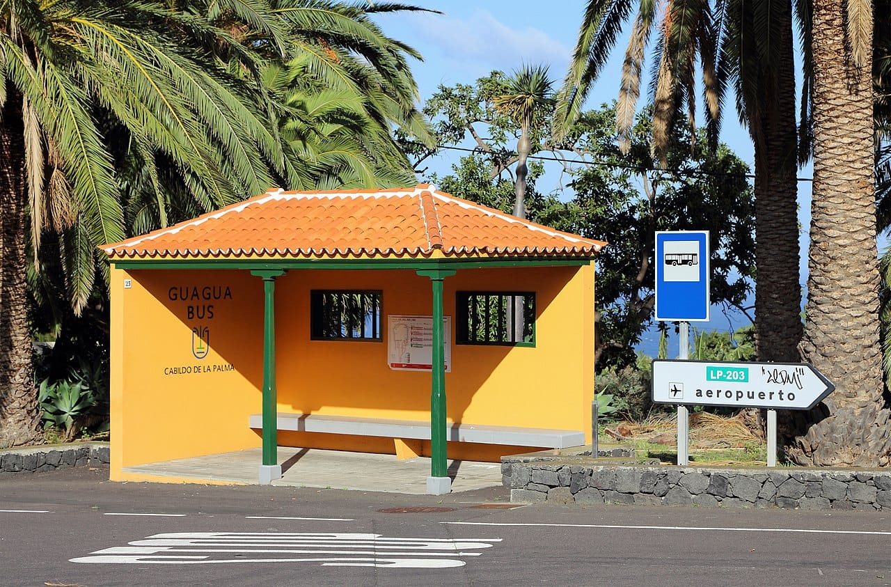 Visitare La Palma in autobus