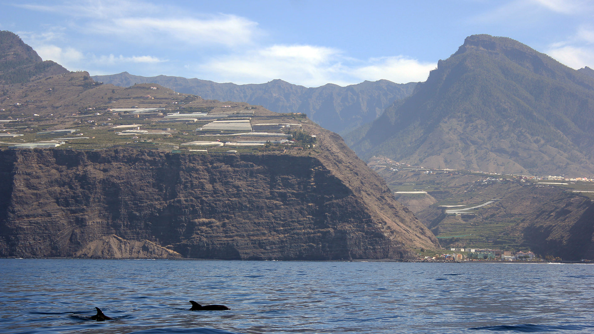 informazioni di viaggio la-palma-dal-mare-e-delfini