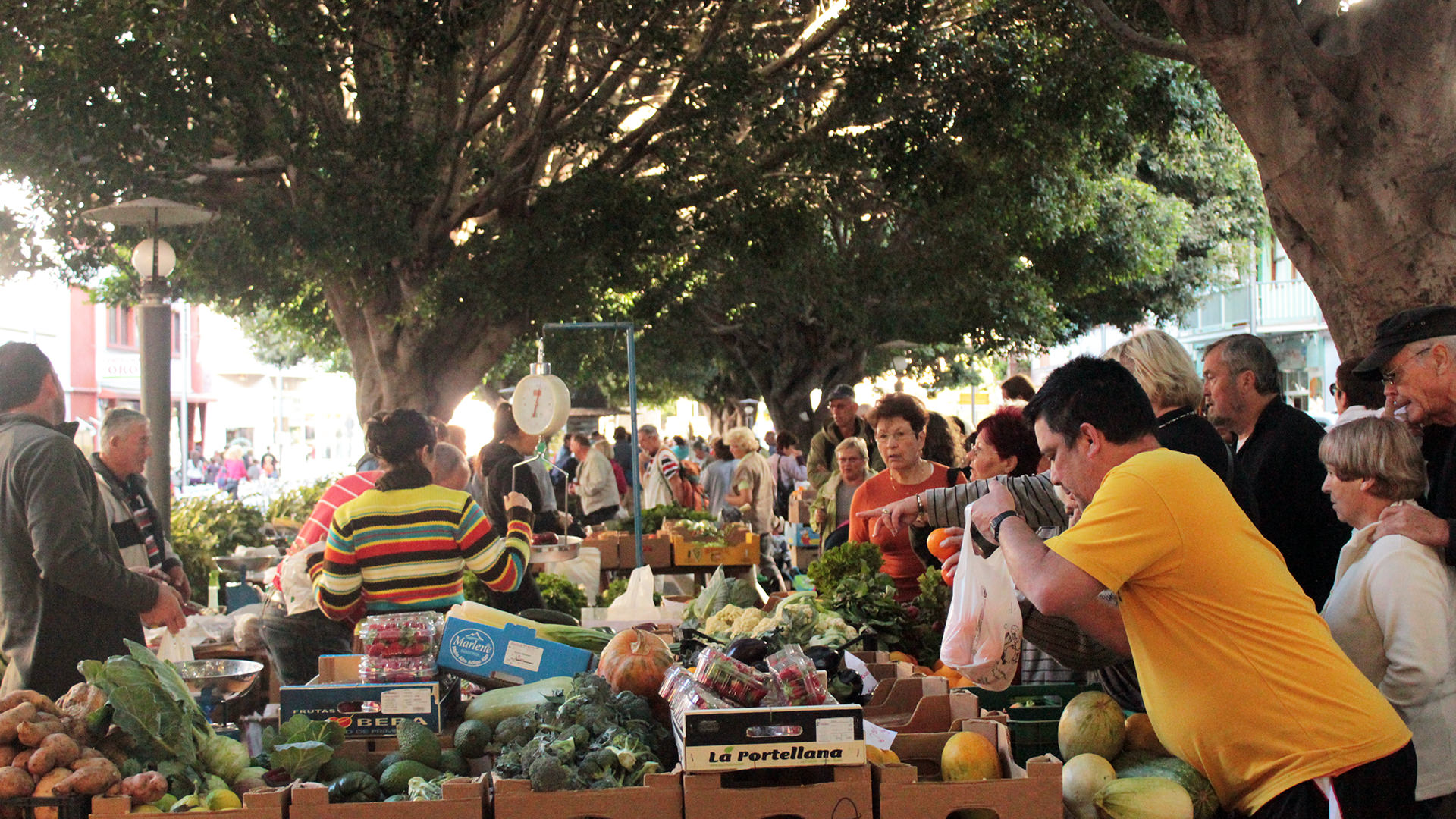 turismo rurale La Palma Canarie mercato frutta e verdura