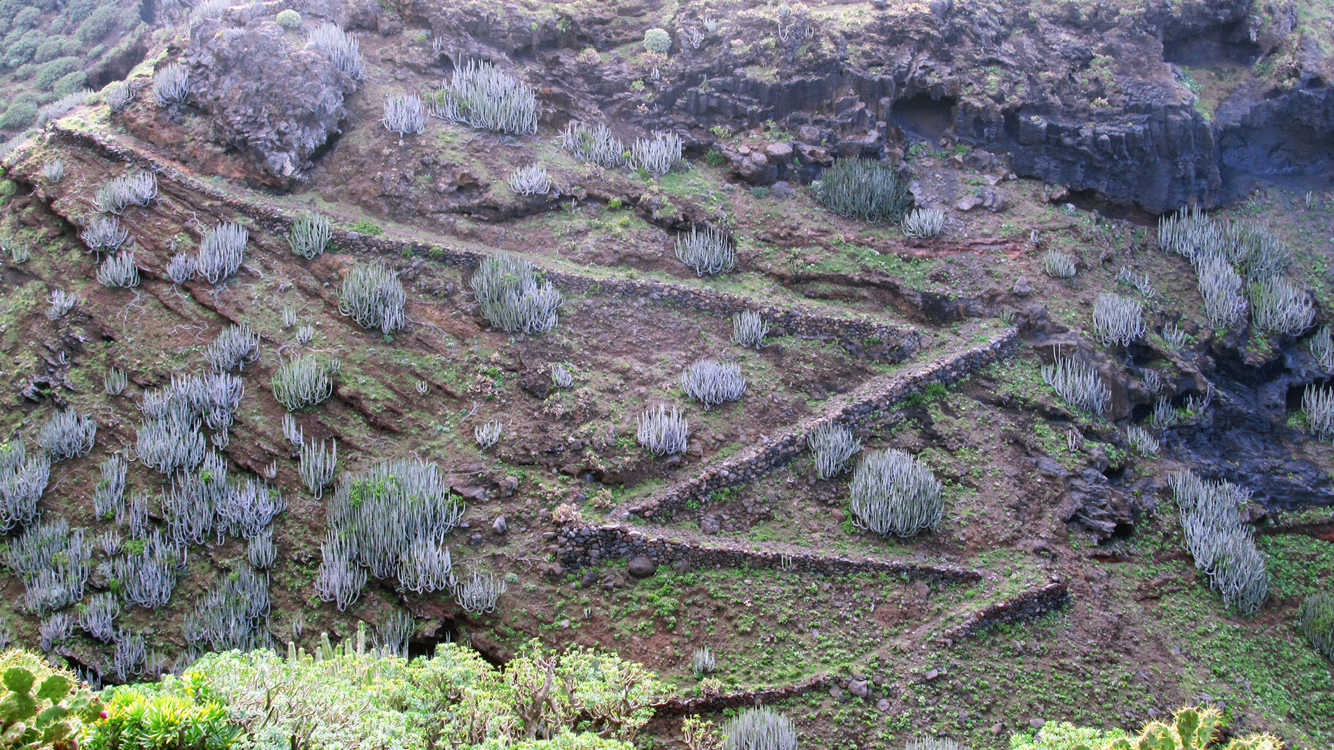 turismo rurale La Palma Canarie sentieri camino real