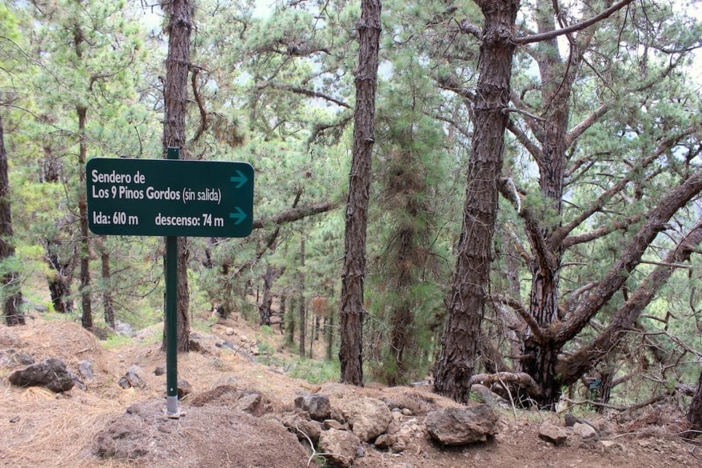 La Palma il Segnale per il Sentiero dei Pinos Gordos