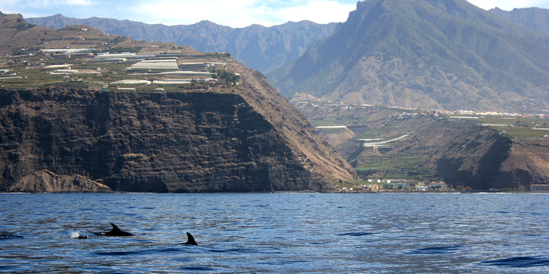 Tazacorte beach & Caldera de Taburiente from the sea © La Palma Natural