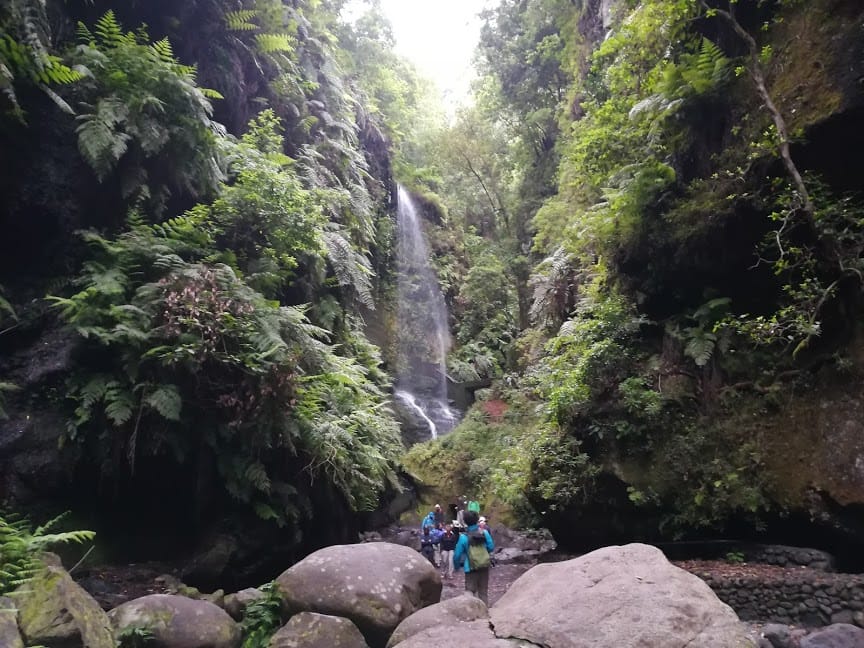 La Palma Trekking Los Tilos Waterfall