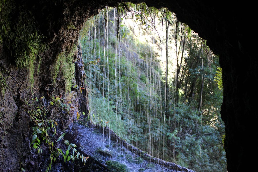 le più belle camminate de La Palma Marcos y Cordero