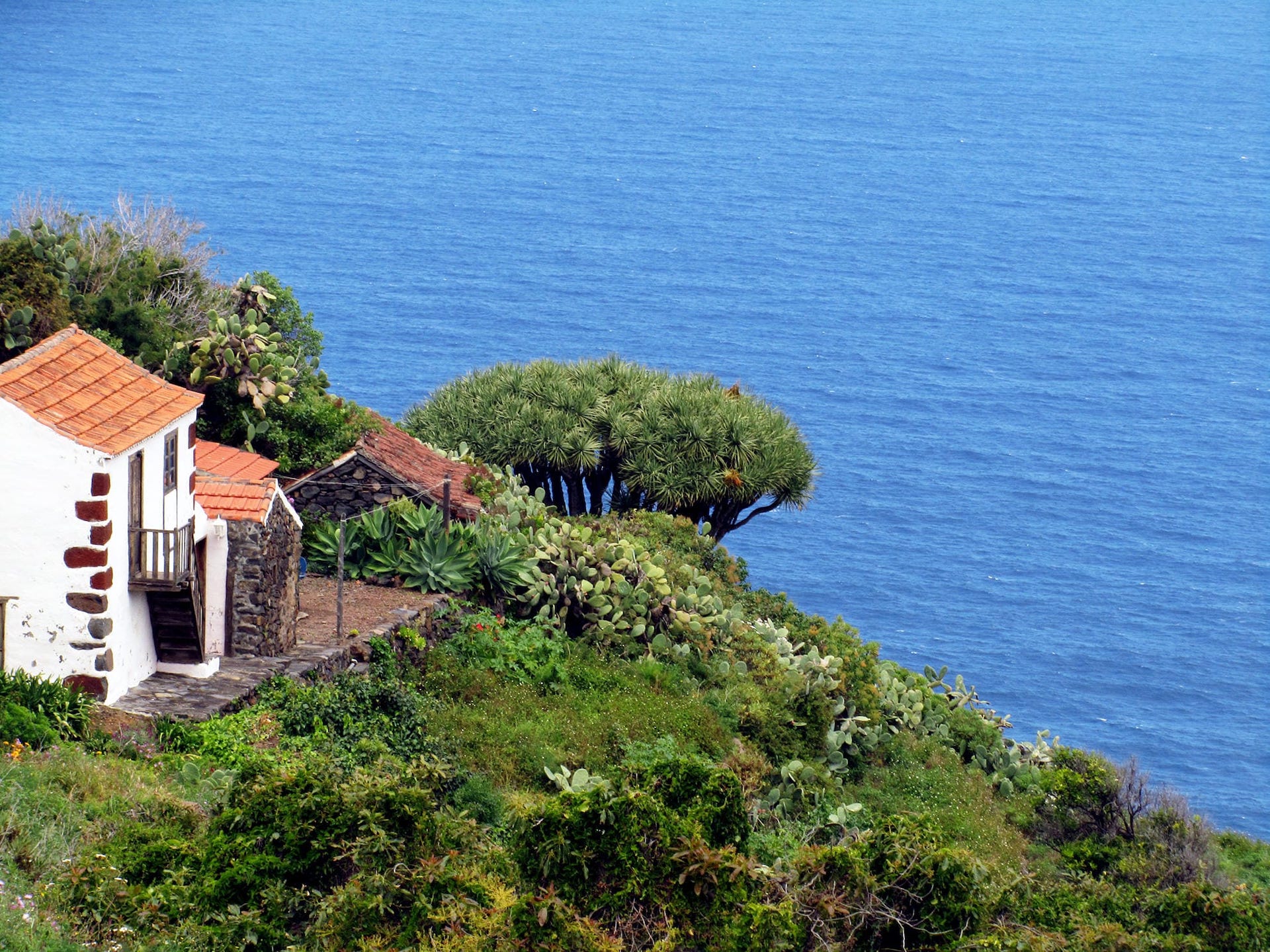 le più belle camminate de La Palma il nord rurale