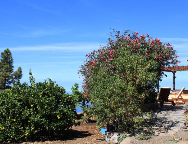 Casa La Chirlaca tijarafe la palma isole canarie