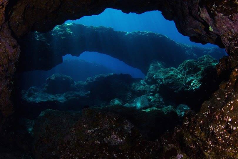 Diving immersioni subacquee a La Palma