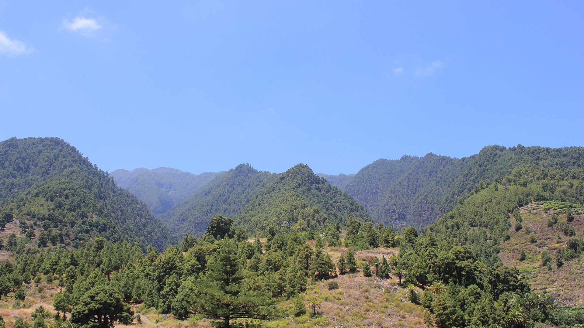 Vacanze alternative alle Canarie: l'isola de La Palma