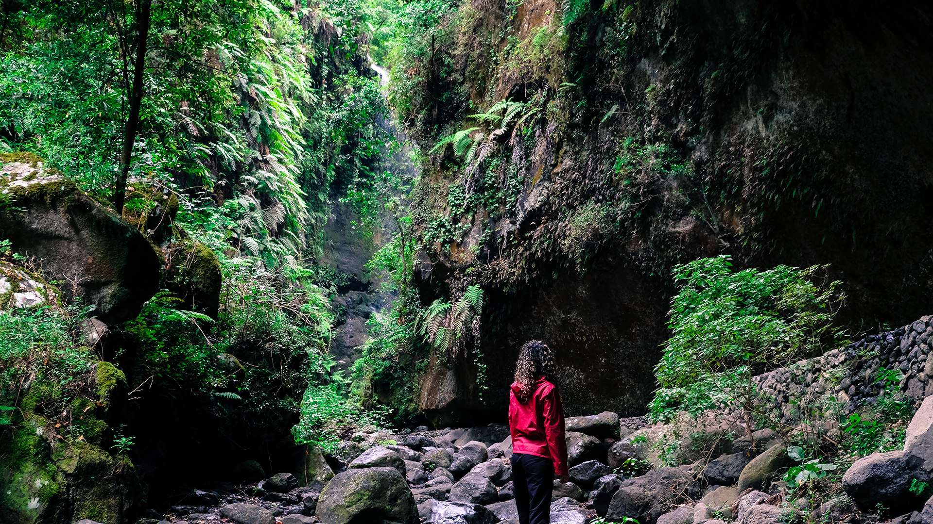 Bosque de Laurisilva Reserva de La Biosfera La Palma excursiones visitas guiadas