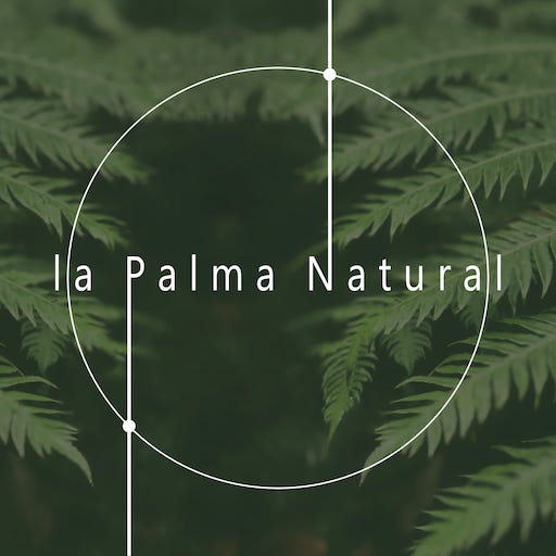 Nuovo Logo La Palma Natural 512