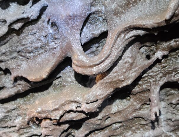 La visita guiada al tubo volcánico Cueva de Las Palomas La Palma Lava 2